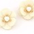 Cream Pearl Stud Earrings